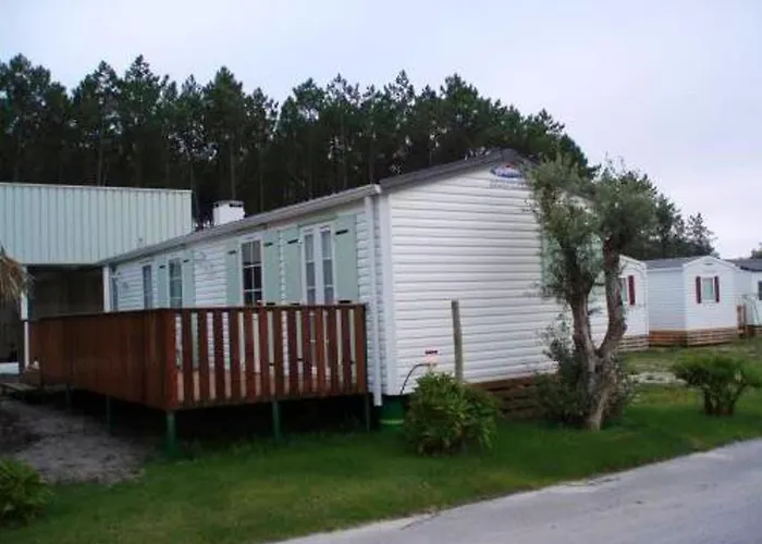 Comfortable Near With Shared Pool Pataias