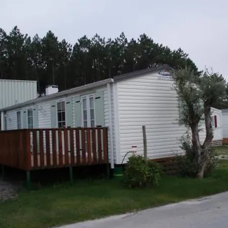 Semesterbostad Comfortable Near With Shared Pool Pataias