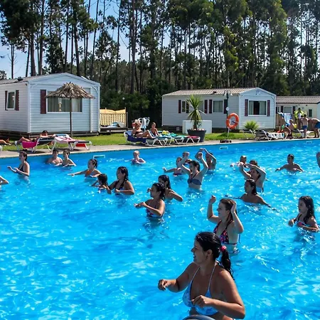 Comfortable Near With Shared Pool פטיאס